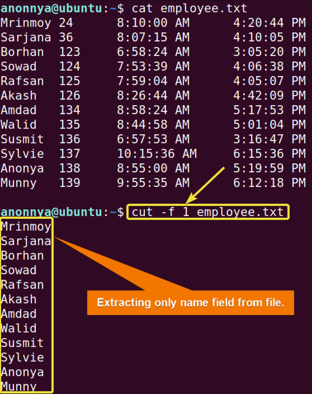 the-cut-command-in-linux-8-practical-examples-linuxsimply