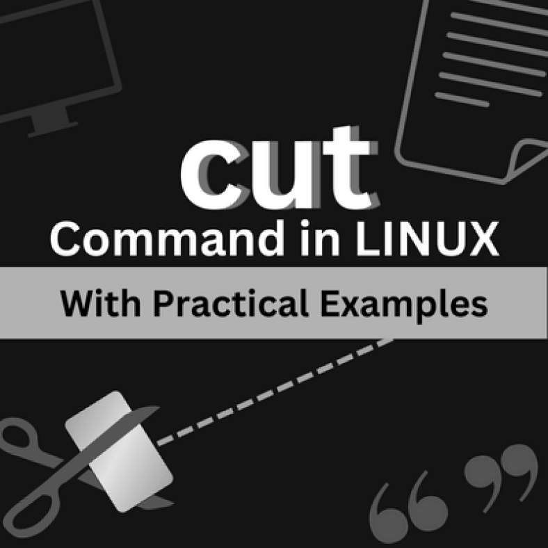 cut command in linux