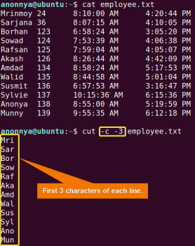 The “cut” Command in Linux [8 Practical Examples] - LinuxSimply