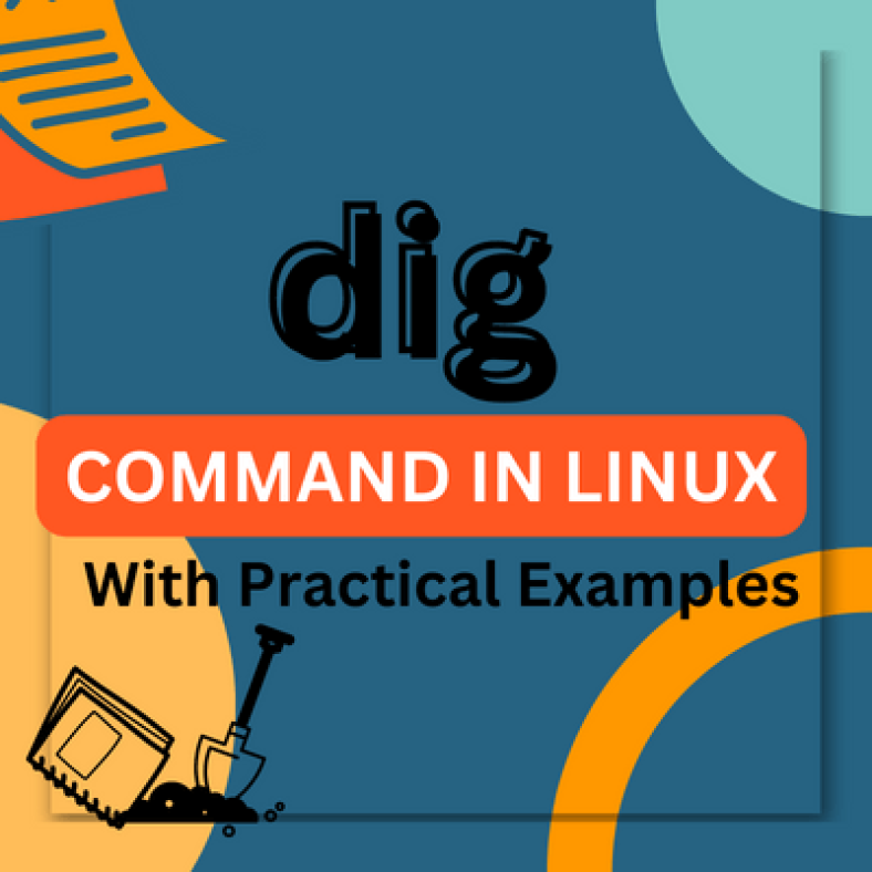 dig command in linux