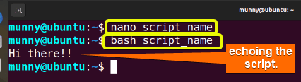 Using bash script as interpreter.