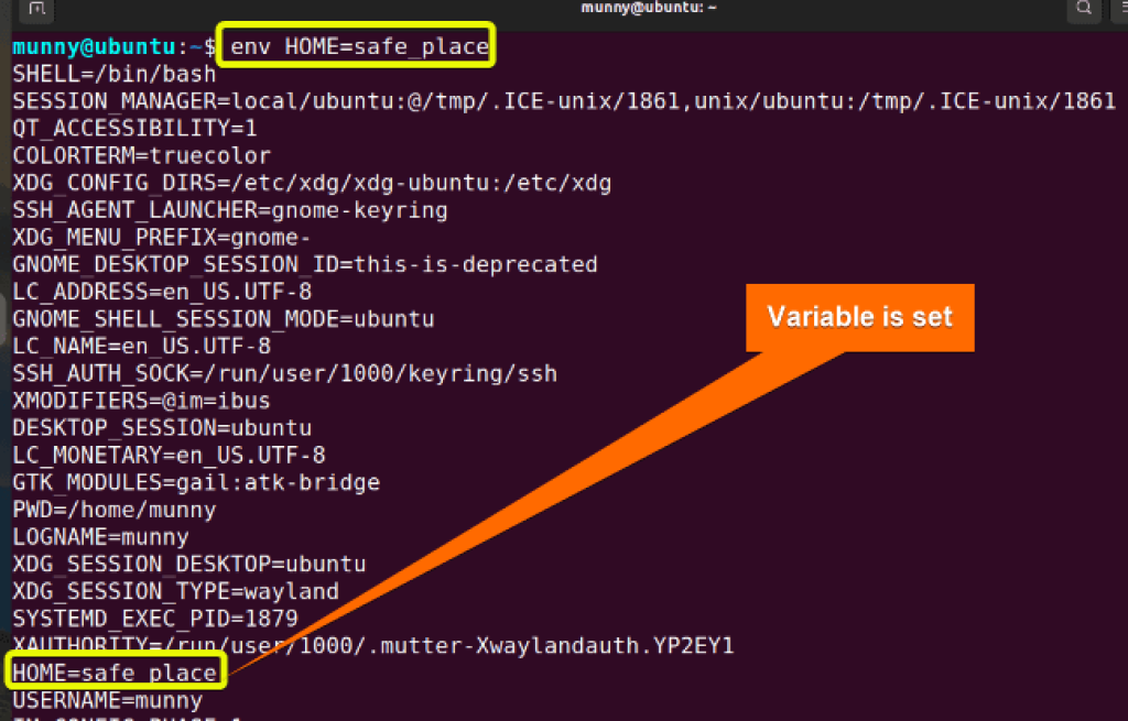 Linux Terminal Print Env Variable