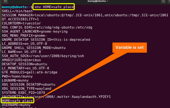 Set variable using env command in linux.
