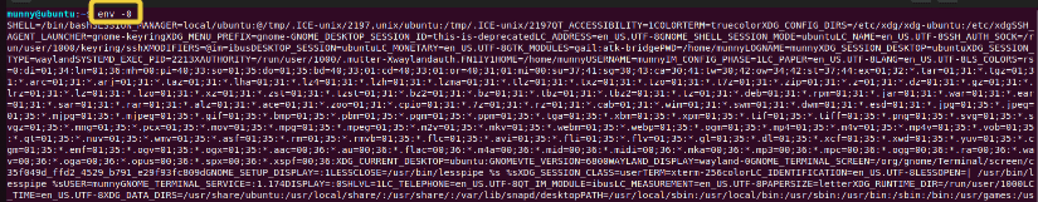 The Env Command In Linux Practical Examples