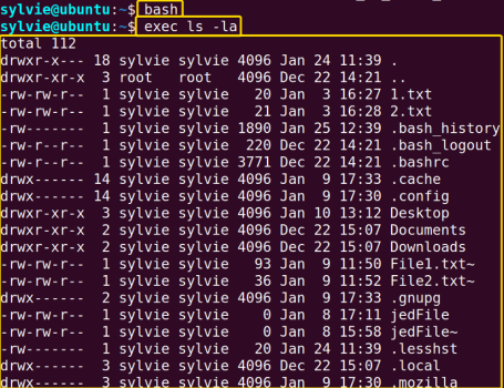 The “exec” Command in Linux [8 Practical Examples]