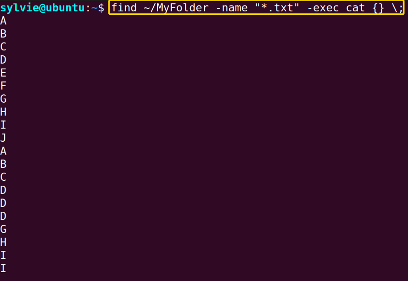 Search Files And Display Their Contents Using the “exec” Command in Linux
