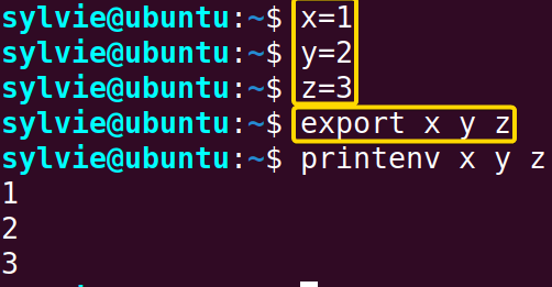 Export Multiple Variables Using the “export” Command in Linux