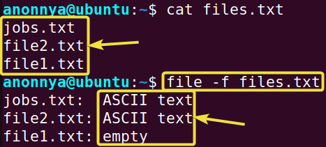 Printing File Types Listed on a Text File Using the file Command in Linux