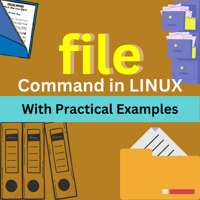 The file command in Linux.