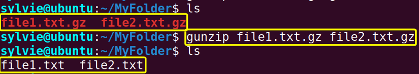 Extract Multiple .gz File Using the “gunzip” Command in Linux
