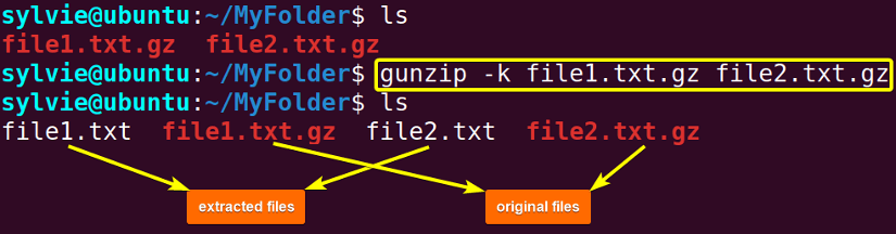 Extract All .gz File in the Current Directory Using the “gunzip” Command in Linux