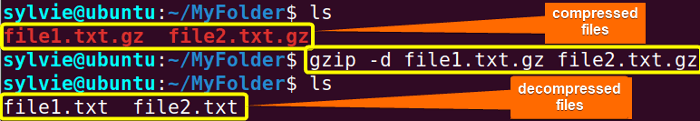 Decompress Files Using the “gzip” Command in Linux