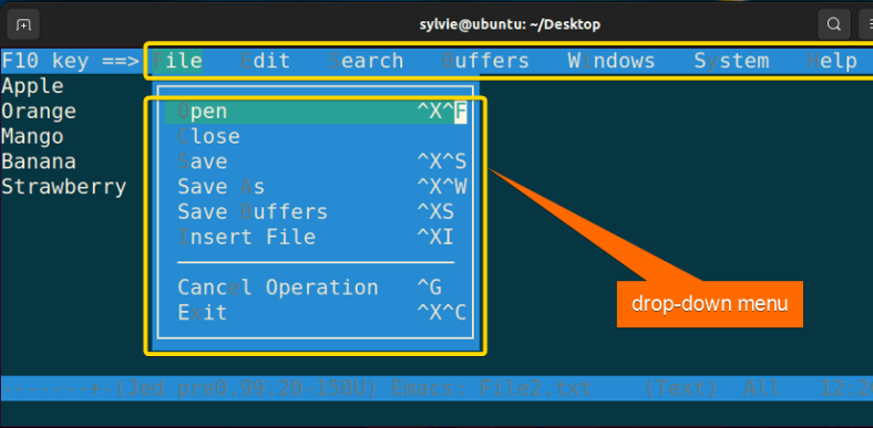 The “jed” Command in Linux [8 Practical Examples]