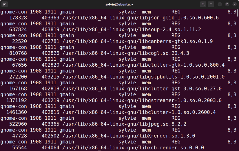 Display List of All Open Files for All Processes Using the “lsof” Command in Linux