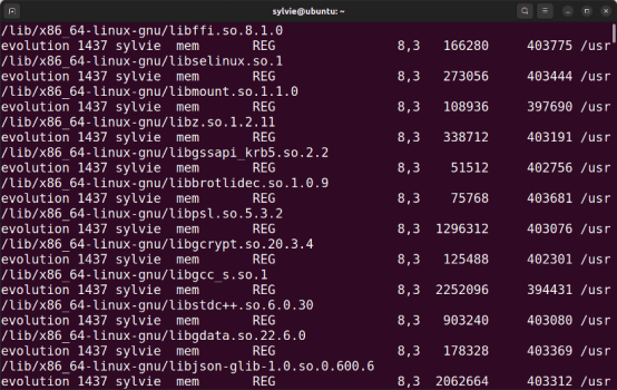 The “lsof” Command in Linux [8 Practical Examples]