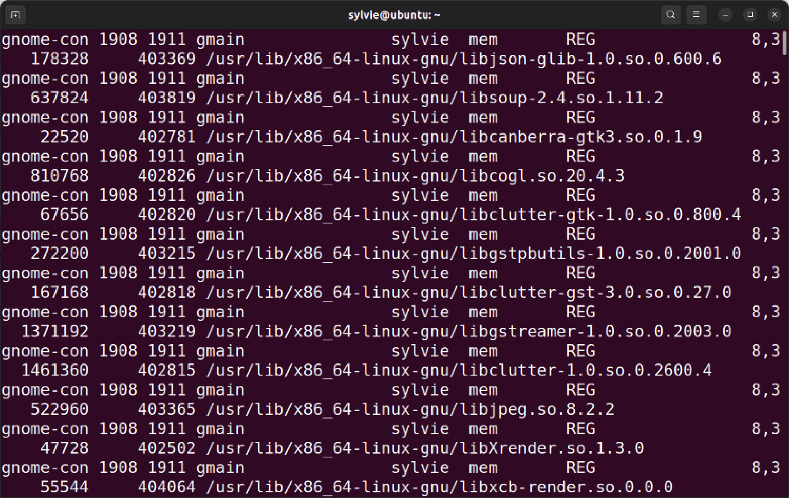 The “lsof” Command in Linux [8 Practical Examples]