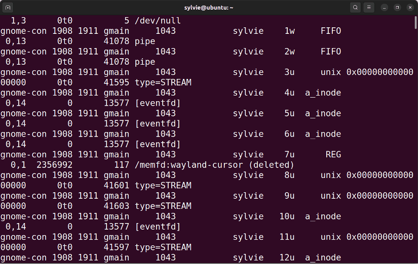Show List of All Files Opened by Parent Process ID Using the “lsof” Command in Linux