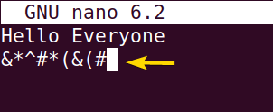 How to Undo in Nano Editor [Nano Undo Command]