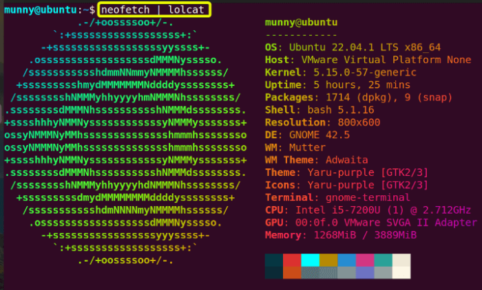 Gradient colors of the neofetch command in linux.