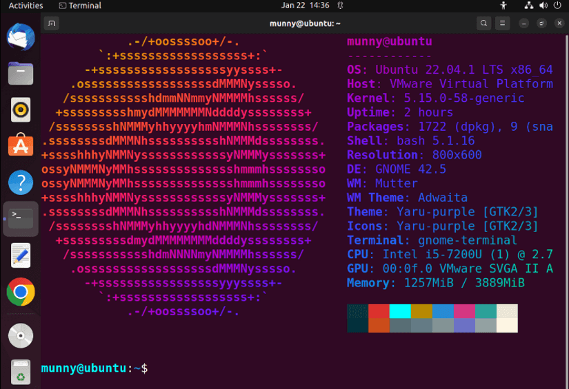 Auto animated output display of neofetch command in every new terminal.