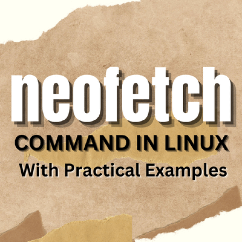 The neofetch command in linux.