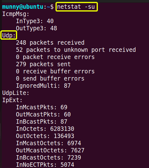 Display the statistics of all UDP ports using netstat command in linux.