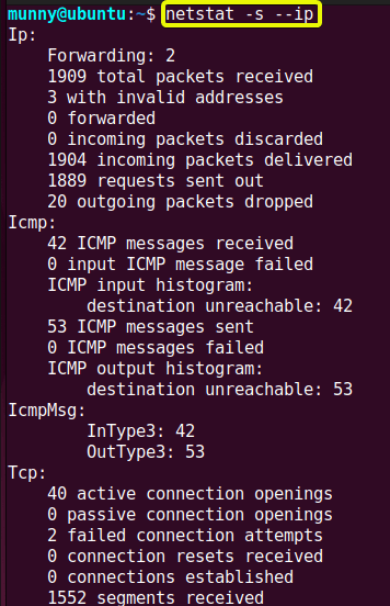 Display the statistics of all IP ports using netstat command in linux.