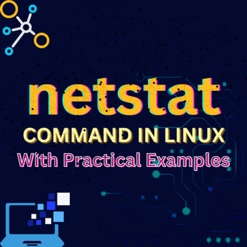 netstat command in linux.