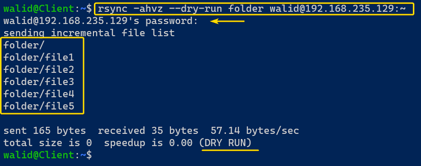 Dry run in the rsync command in Linux
