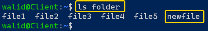 Showing the newfile in the folder