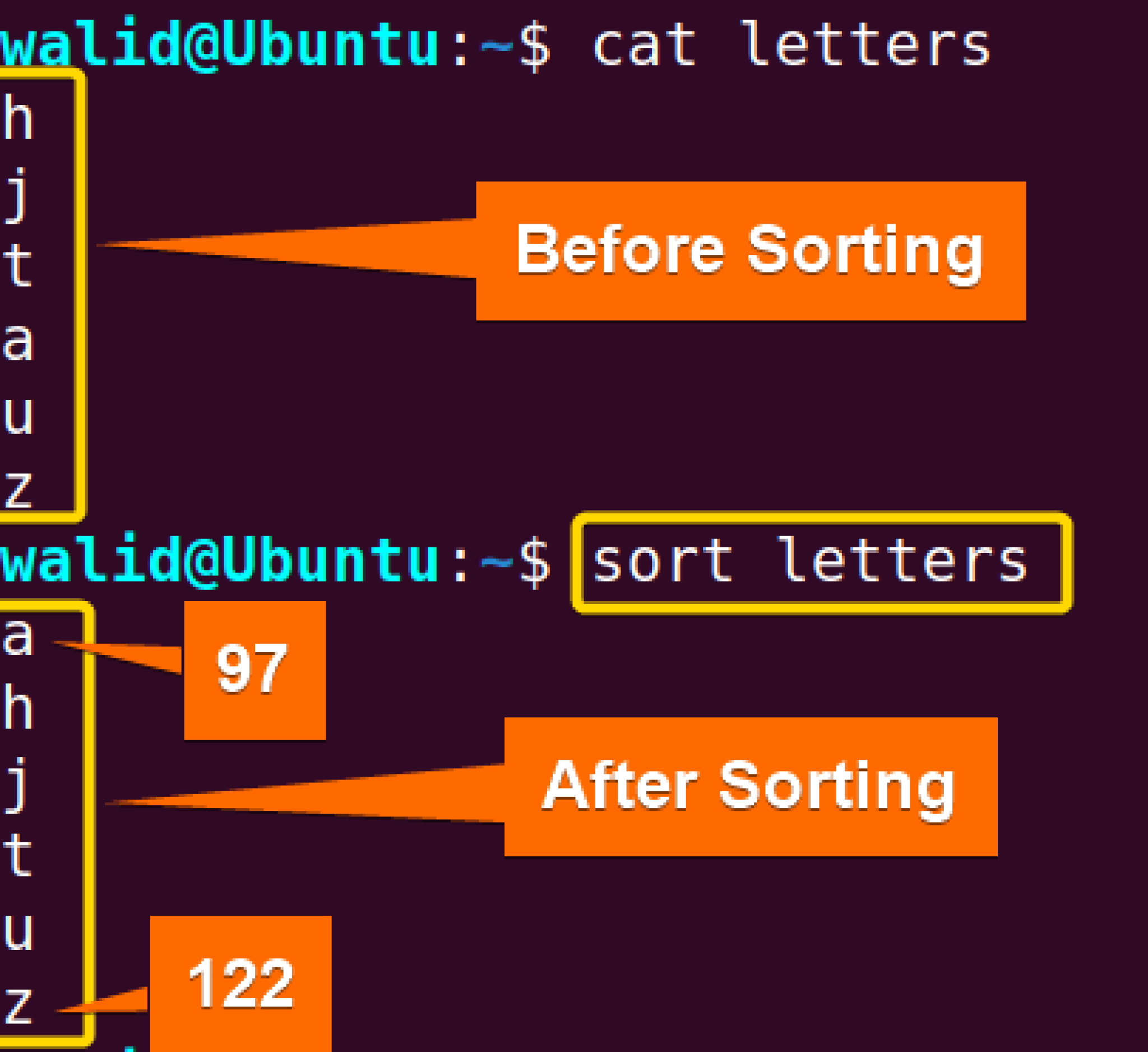 The “sort” Command In Linux [16 Practical Examples]