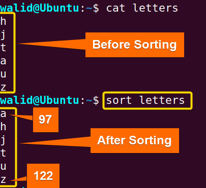 Before and after sorting a set of letters using the sort command in Linux
