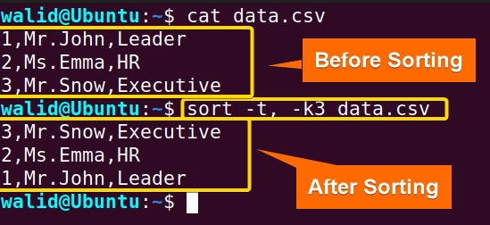 Sorting by delimiter using the sort command in Linux