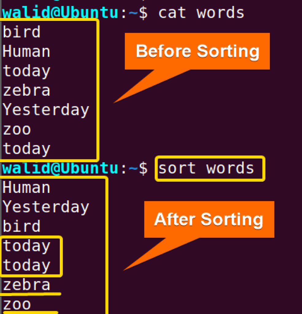 The “sort” Command In Linux [16 Practical Examples]