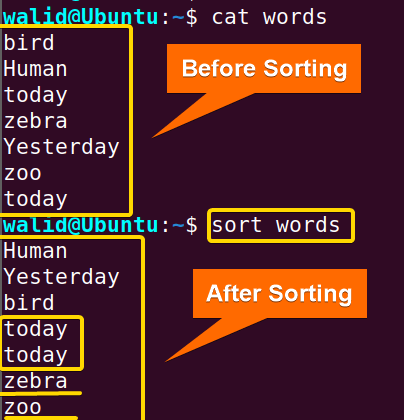 Sorting a set of words using the sort command in Linux