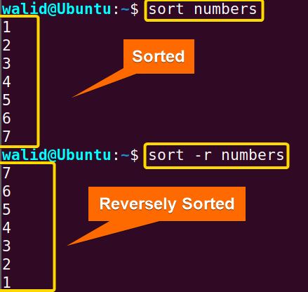Reverse sorting using the sort command in Linux