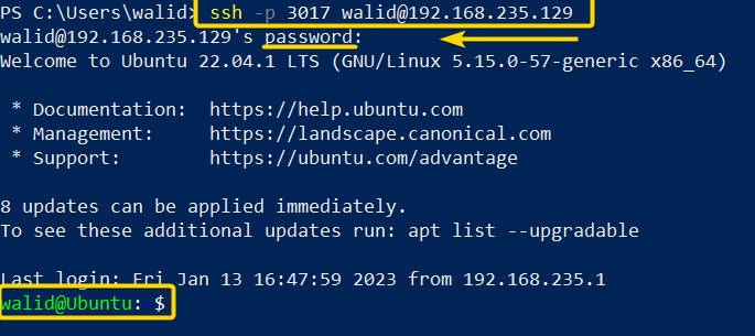 Accessing the server with the ssh command in Linux and port number