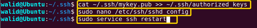 Creating the authorized_keys file and restarting ssh service