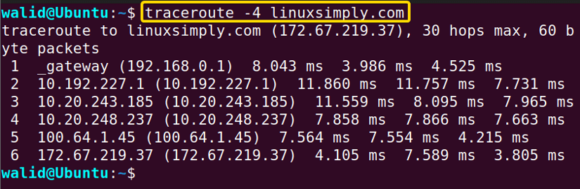 Using only IPv4