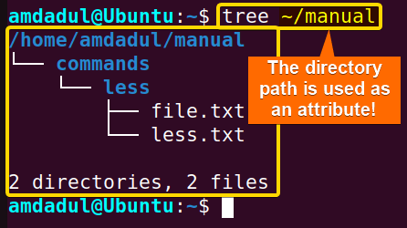Showing the use of directory path with tree command.