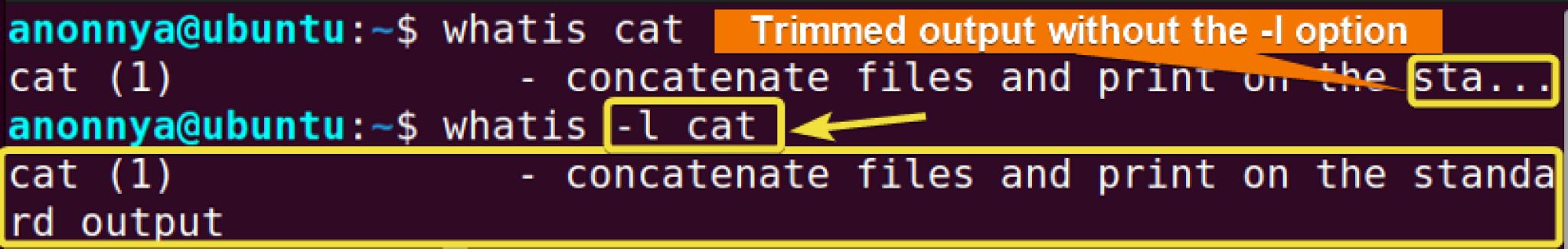 The “whatis” Command in Linux [12 Practical Examples]