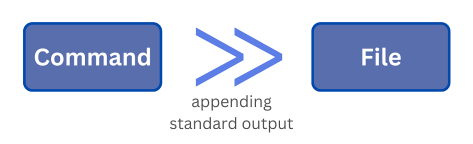 Appending Standard Output