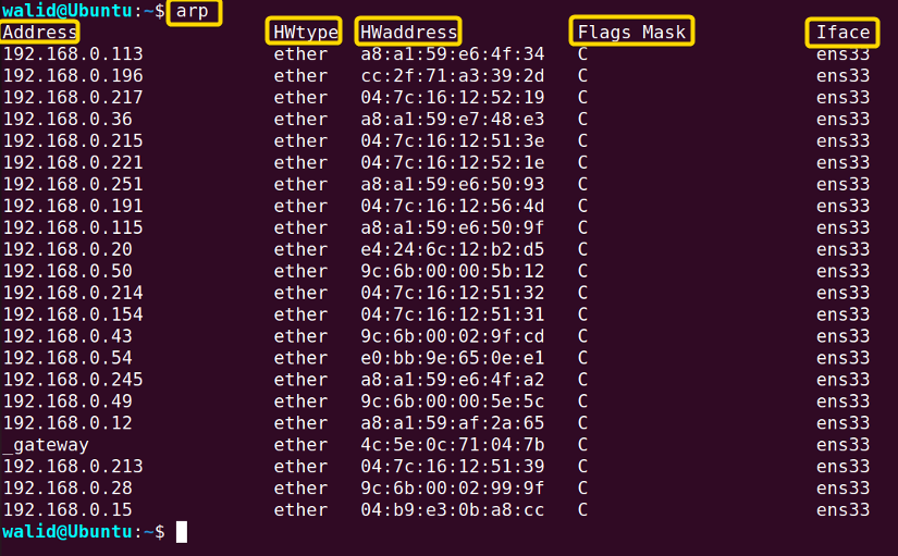 Showing IP addresses and MAC addresses using the arp command in Linux
