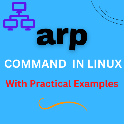 arp command in linux