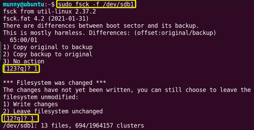 Force check using fsck command in linux.