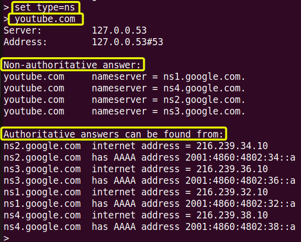View ns type DNS record using the nslookup command in linux.