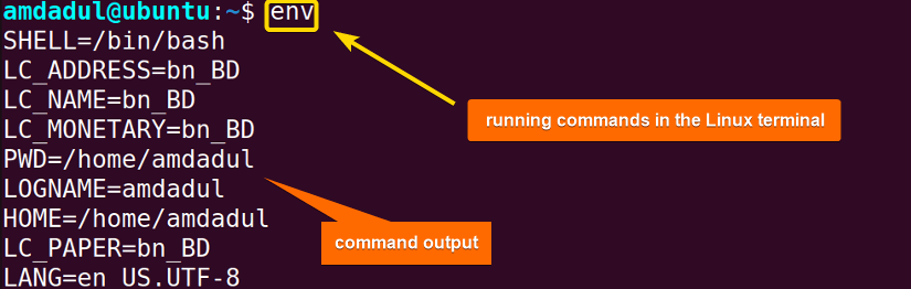 using commands in the terminal in Linux