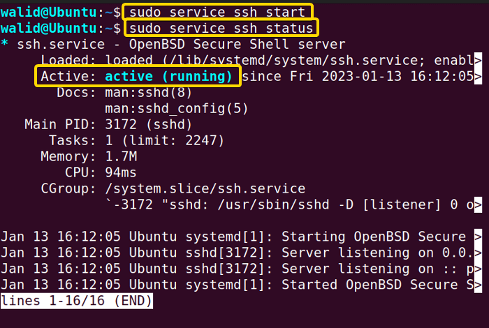 Starting the ssh service and showing its status