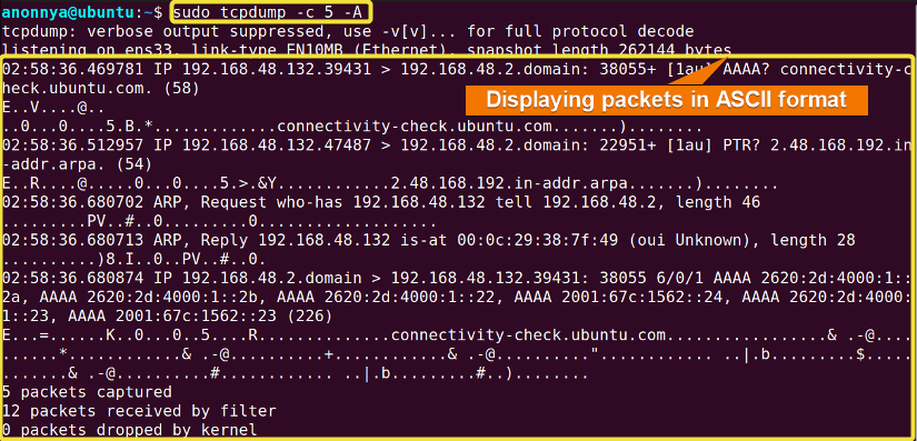 Converting Captured Packets into ASCII Format Using the tcpdump Command in Linux.
