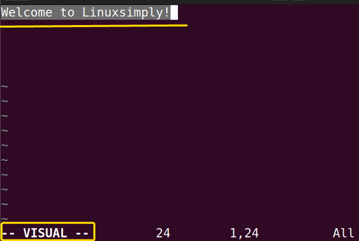 Enabling the visual mode in the vim command in Linux